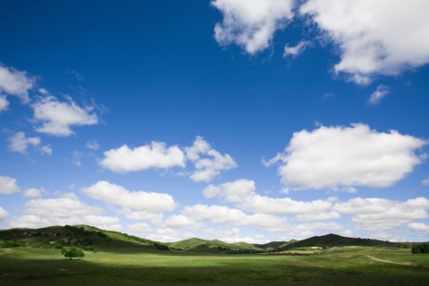 Bashang grassland in Inner Mongolia
