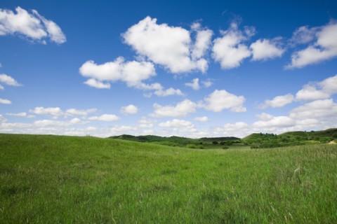 Bashang grassland in Inner Mongolia