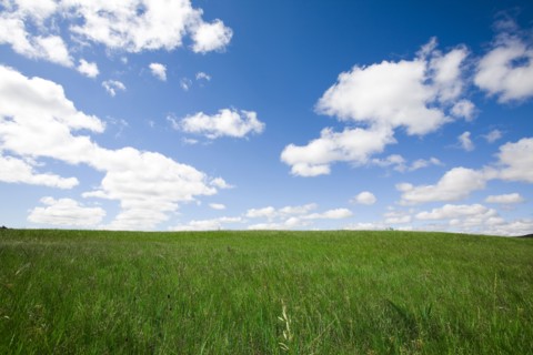 Bashang grassland in Inner Mongolia