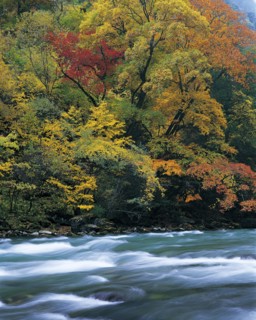 Sichuan Province,