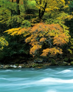Sichuan Province,Miyaluo