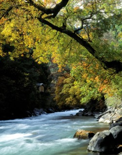 Sichuan Province,Miyaluo