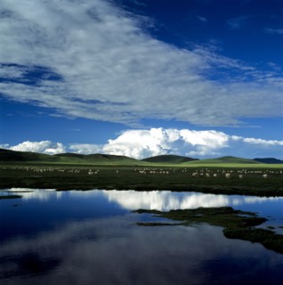 Tibet