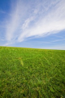 Bashang grassland in Inner Mongolia