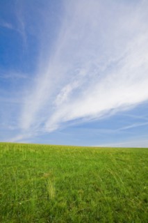 Bashang grassland in Inner Mongolia