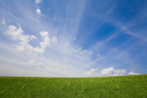 Bashang grassland in Inner Mongolia