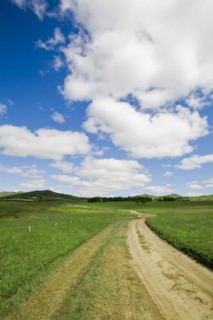Bashang grassland in Inner Mongolia