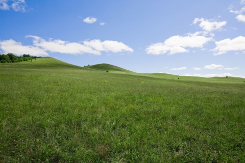 Bashang grassland in Inner Mongolia