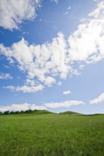 Bashang grassland in Inner Mongolia