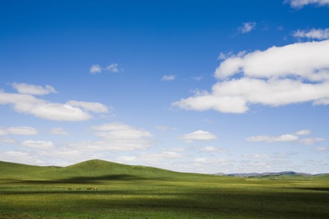 Bashang grassland in Inner Mongolia