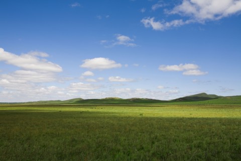 Bashang grassland in Inner Mongolia