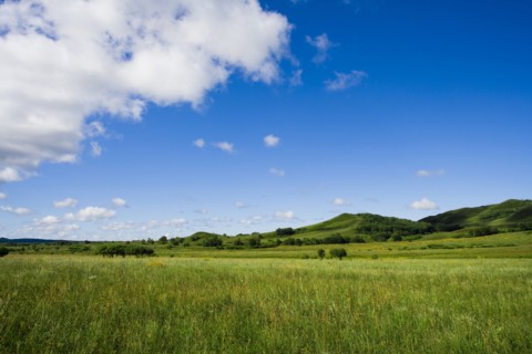 Bashang grassland in Inner Mongolia