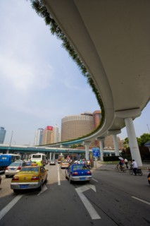 Shanghai Stadium Street