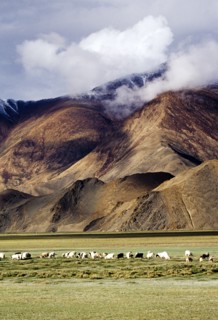 Tibet