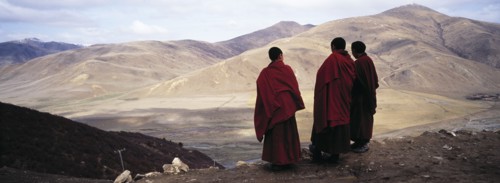 Lama