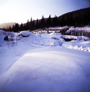 Snow Scene