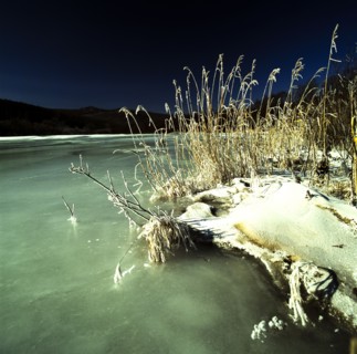 Snow Scene