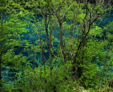 Sichuan Province,Jiuzhaigou