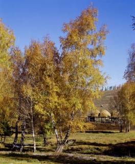 Xinjiang