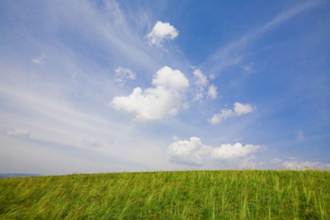 Bashang grassland in Inner Mongolia
