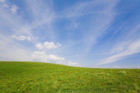 Bashang grassland in Inner Mongolia