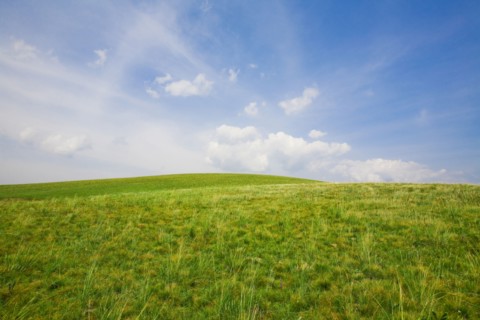 Bashang grassland in Inner Mongolia