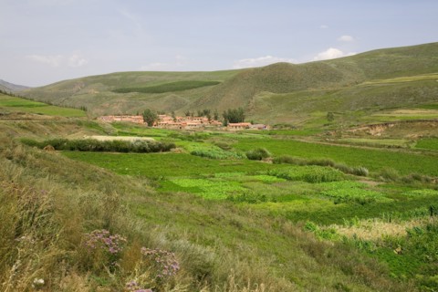Bashang grassland in Inner Mongolia