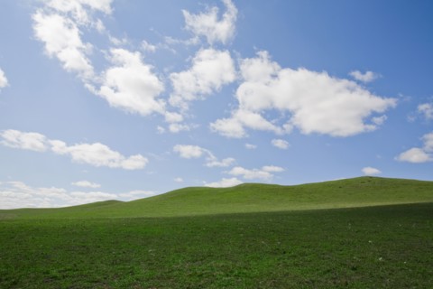 Bashang grassland in Inner Mongolia