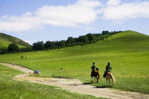 Bashang grassland in Inner Mongolia