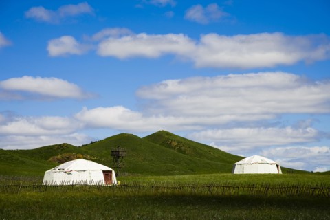 Bashang grassland in Inner Mongolia