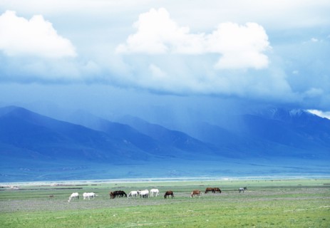 Tibet