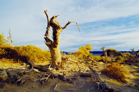 Xinjiang