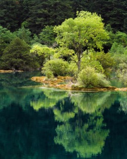 Sichuan Province,Jiuzhaigou