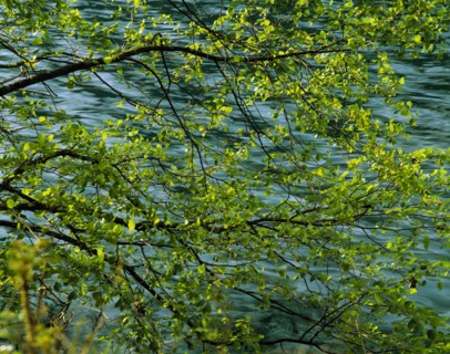 Sichuan Province,Jiuzhaigou