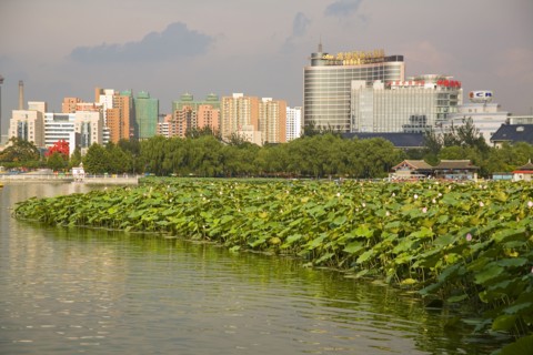 Lotus Pond Park,Beijing