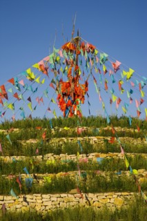 Bashang grassland in Inner Mongolia