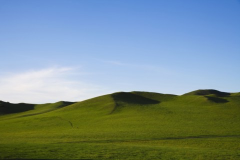 Bashang grassland in Inner Mongolia