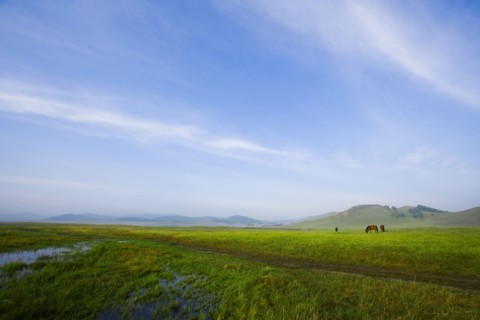 Bashang grassland in Inner Mongolia