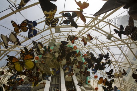 Shanghai Children's Activity Center