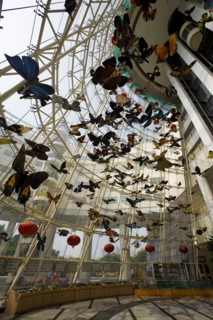 Shanghai Children's Activity Center