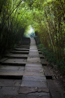 Leshan Giant Buddha
