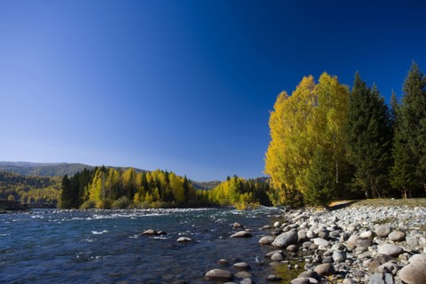 Xinjiang Province,Aletai,