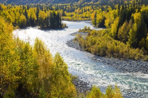 Xinjiang Province,Aletai,