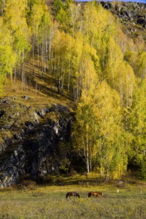 Xinjiang Province,Aletai,