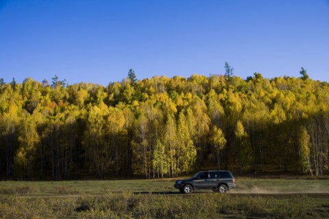 Xinjiang Province,Aletai,