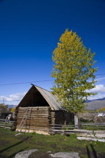 Altay Xinjiang,White Haba,