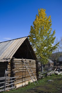 Altay Xinjiang,White Haba,