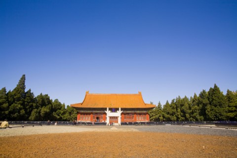 Beijing,Zhongshan Park,Chrysanthemum,