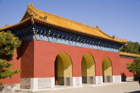 Beijing,Zhongshan Park,Chrysanthemum,