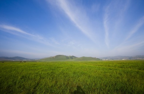 Bashang grassland in Inner Mongolia